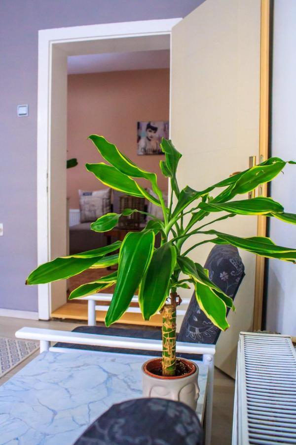 Bb Downtown Apartment باغينا باستا المظهر الخارجي الصورة