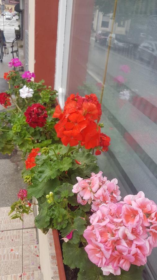 Bb Downtown Apartment باغينا باستا المظهر الخارجي الصورة